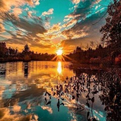 Heinrichs & Hirtenfellner - Lenz (Sven K's Honey's Ringtone Re-Work)