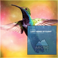 8 P.M. - Light Sense Of Flight (Original Mix)