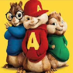 DREAMS - TE AMO PERRA