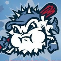 Interview with Lexington County Blowfish Voice Justin Hall 6/7/19