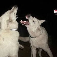 SssstAr - augustboy29th X Jasper.__ of Tre Fratelli (prod. DELARIVA BEATS)