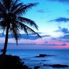 W A S H I N G T O N  B E A C H