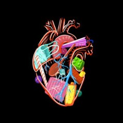 Plastic Heart - Leif Bent