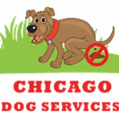 Things You Need To Know About Dog Waste Removal Today
