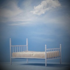 In the Morning