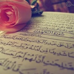 جميع تلاوات القارئ طارق محمد