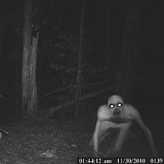 I'm With You in the Dark - Episode 2: Skinwalker