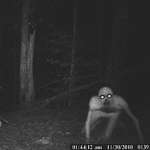 I'm With You in the Dark - Episode 2: Skinwalker