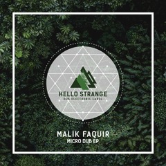 Malik Faquir - Micro Dub EP (preview) [ HSL #48 ]