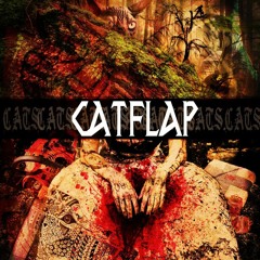 Catflap