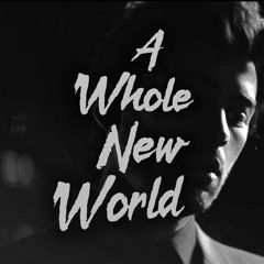 A Whole New World ( Gomez Lx™ Remix )