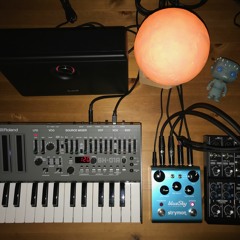 not today - Roland SH-01A strymon Big Sky