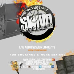 DJ SWIVO (TERRORTONE SOUND) LIVE AUDIO 08/06/19 - WHITENY 25TH BIRTHDAY BASH