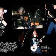 Caecum - Intestinal Noose
