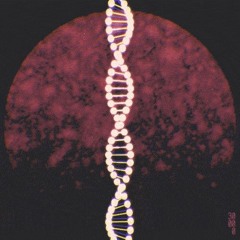 DNA-G / Prog dark   Set
