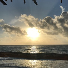 1 Week In Tulum!