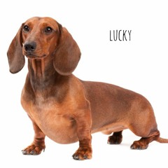 2 Much ft blacktom Prod. Fly Melodies