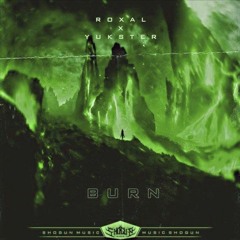 Roxal X Yukster - Burn (VimoK Remix)