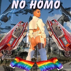 NO HOMO - GAY $I$TER$