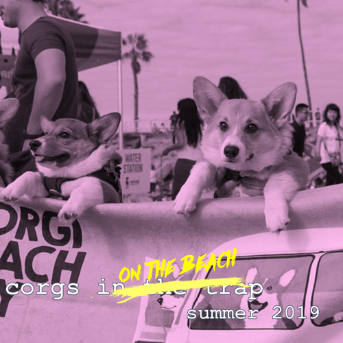 Corgs in the Trap: Summer 2019