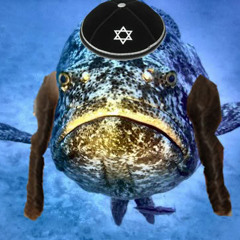 jewish fish (end of kevos career)