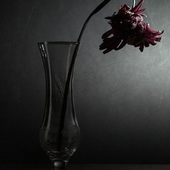 GM Wop - Imperfect Flower Freestyle