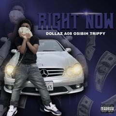 Dollas Ft A08 Trippy Osibih - Right Now