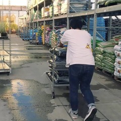 Im Just A Baby Carrot