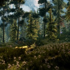 Jeremy Soule - Forest Fall (The Elder Scrolls V Skyrim)