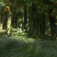 Jeremy Soule - Forest Pine (The Elder Scrolls V Skyrim)
