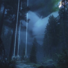 Jeremy Soule - Forest At Night (The Elder Scrolls V Skyrim)