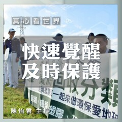 真心看世界 20190610【快速覺醒 及時保護】