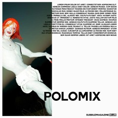 POLOmix by Diesequenz