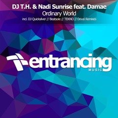 DJ T.H. & Nadi Sunrise Feat. Damae - Ordinary World (TEKNO Remix)