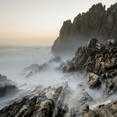 TallyBands ( Jeks Spacely x Cyrus)