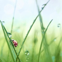 Brand New Day (ft. Hatsune Miku)