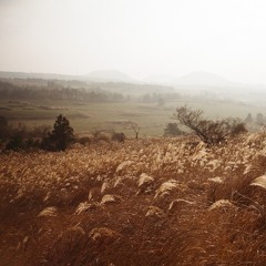 In Search of Lost Time(Gender Wayang Remix)