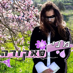 Meni Sakura מני סאקורה