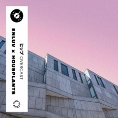 Enluv - Overcast w/  Houseplants