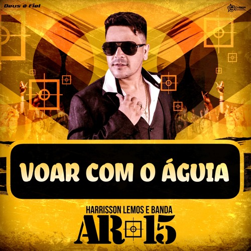 MARCANTE - VOAR COM O AGUIA - BANDA AR - 15