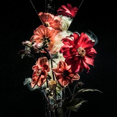 556 flower
