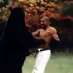 熊殺しエレクトロ / カラテクノ