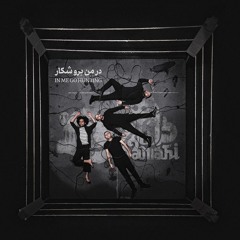 Damahi Band - Divaneh - honaremaa.ir