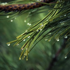 Amado Amigo - Marie Gabriella
