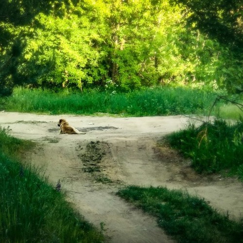 Мы нигде / We are nowhere