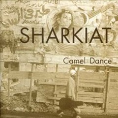 Piano Kanun Talk /  Camel Dance " Album " 1991