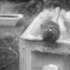 Deep Fried Analog Deep Fried Analog