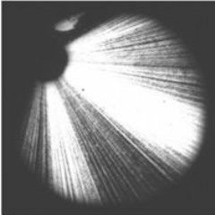 Kuffe Fx - RaDaR