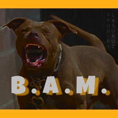 B.A.M.