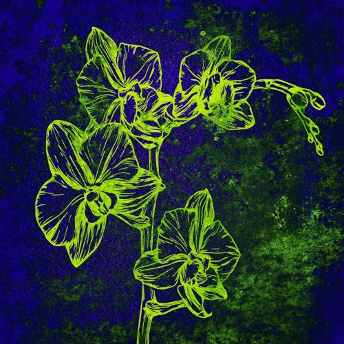 Premiere: Sébastien Forrester - Unrest [Afraa Productions]